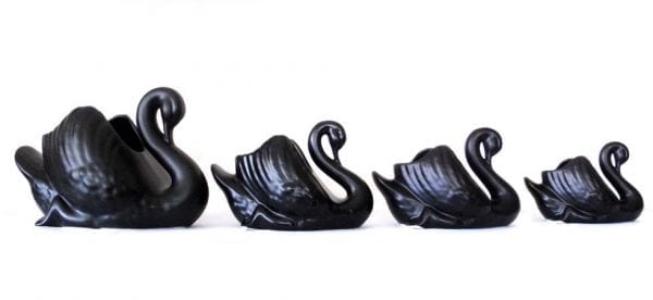 Set of four large, medium and small black swans