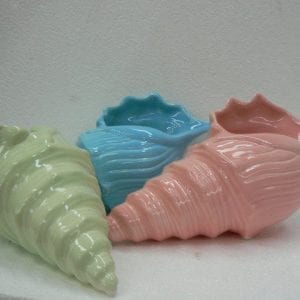 Brussels Vase - A Conch Shell