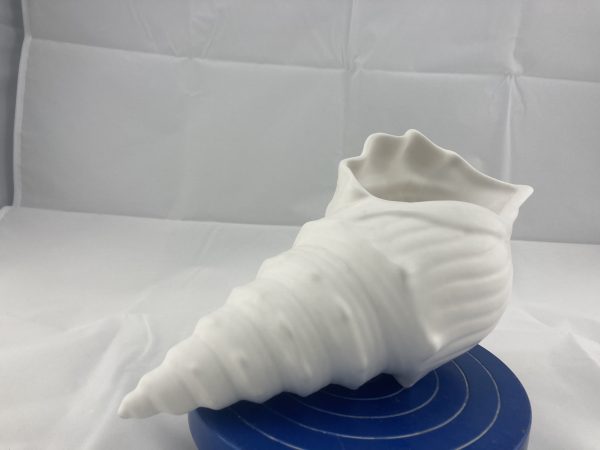 Brussels Vase - A Conch Shell