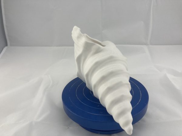 Brussels Vase - A Conch Shell