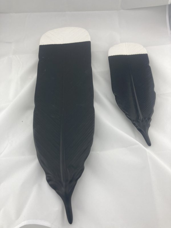 Huia Feathers