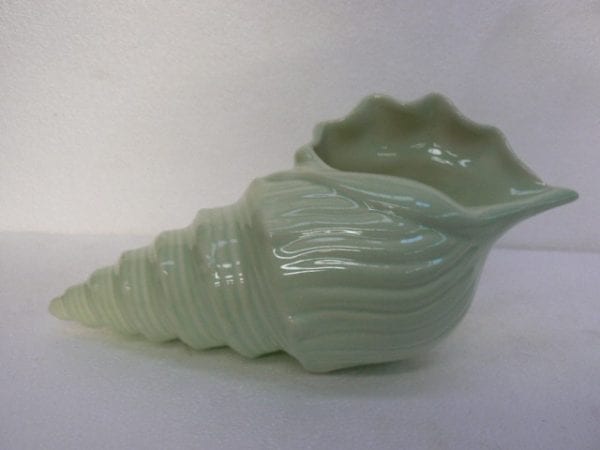 Brussels Vase - A Conch Shell