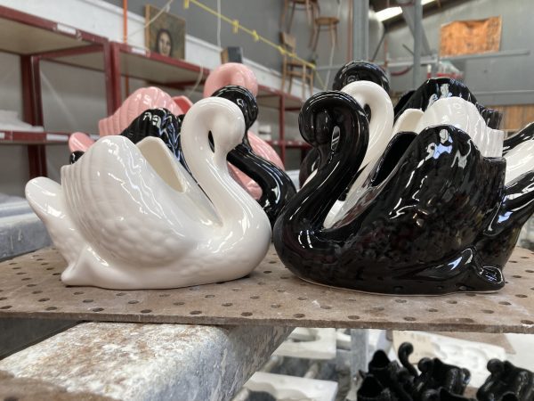 Black, pink and white Swans