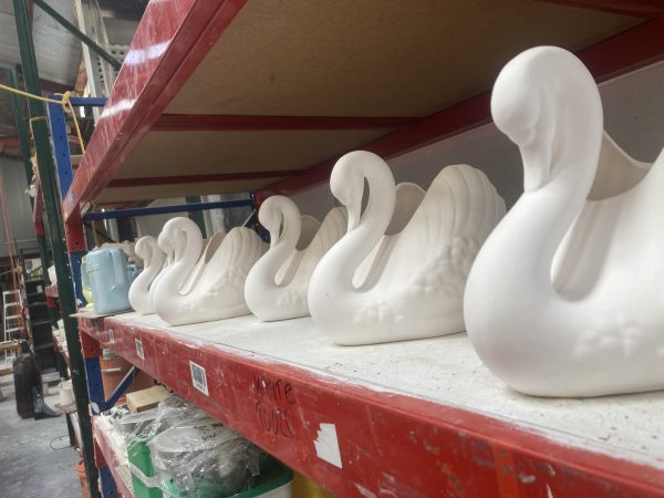 Swans before glazing