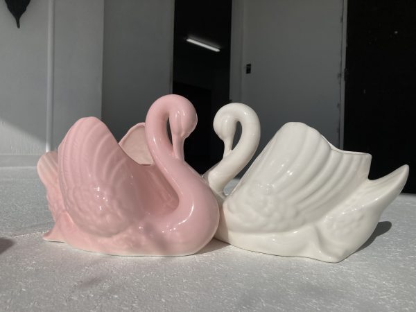 Pink and white swans