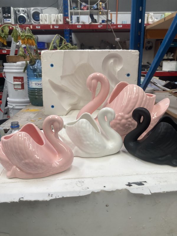 Pink, white and Black Swans